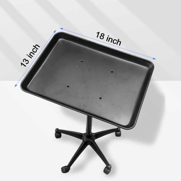 Storage Tray